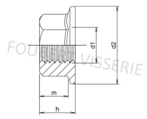 Plan-ecrou-a-embase-din6923