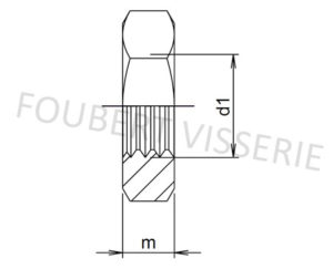 Plan-ecrou-bas-hm-din439b-iso4035