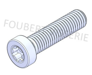 Vis-a-metaux-tete-cylindrique-basse-torx-iso14580