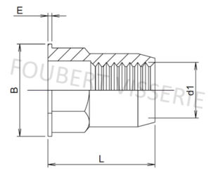 1-plan-Ecrou-noye-semi-hexagonale-tete-plate